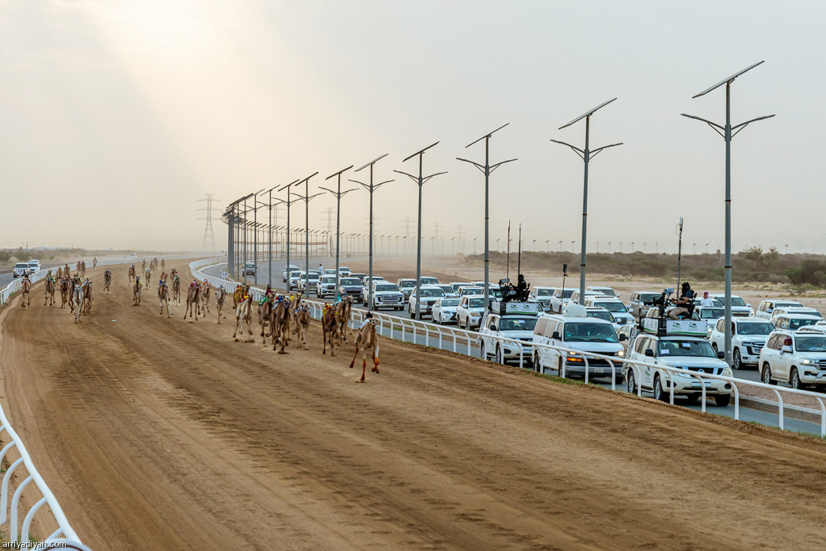 اليوم التاسع