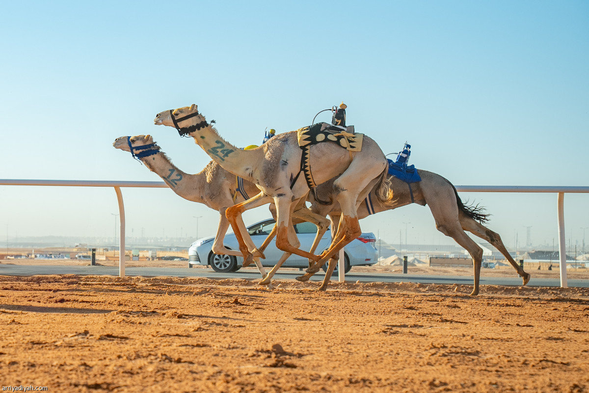 استمرار التحدي