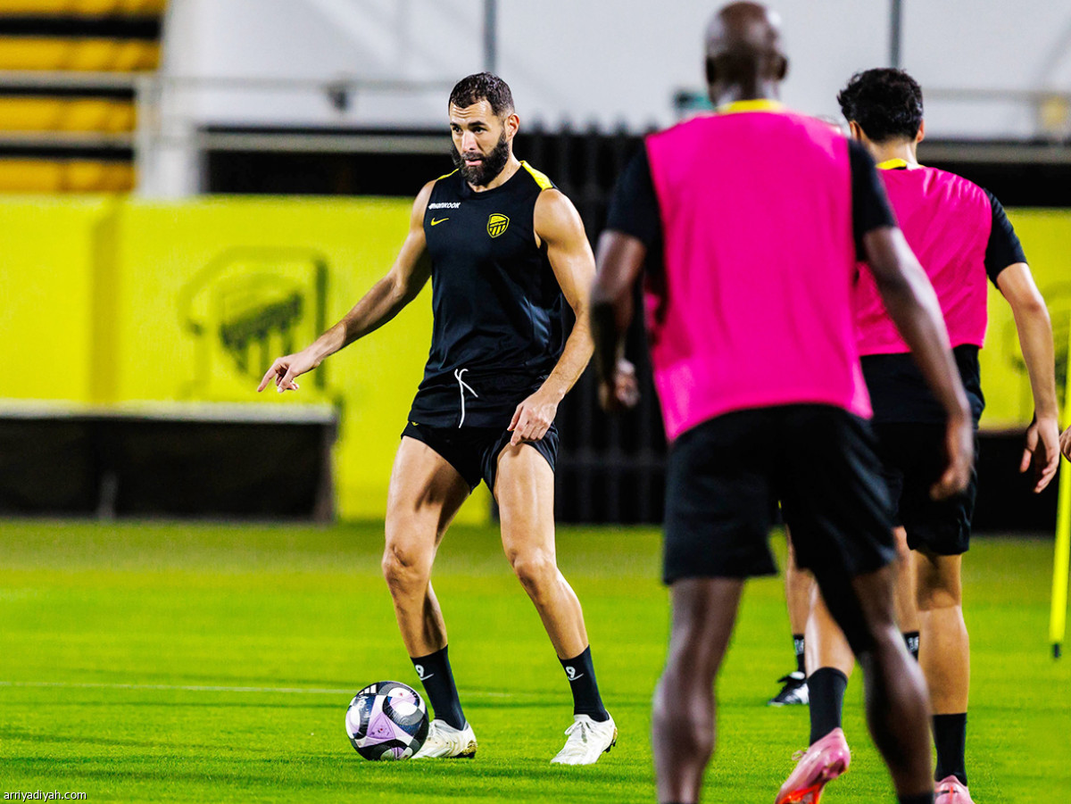 «النمور» يستعدون