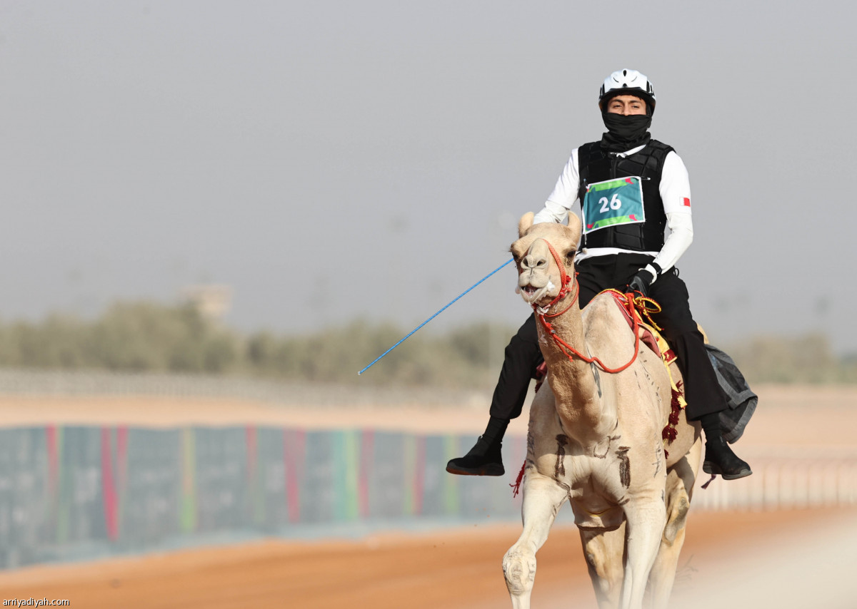 منافسات الهجن