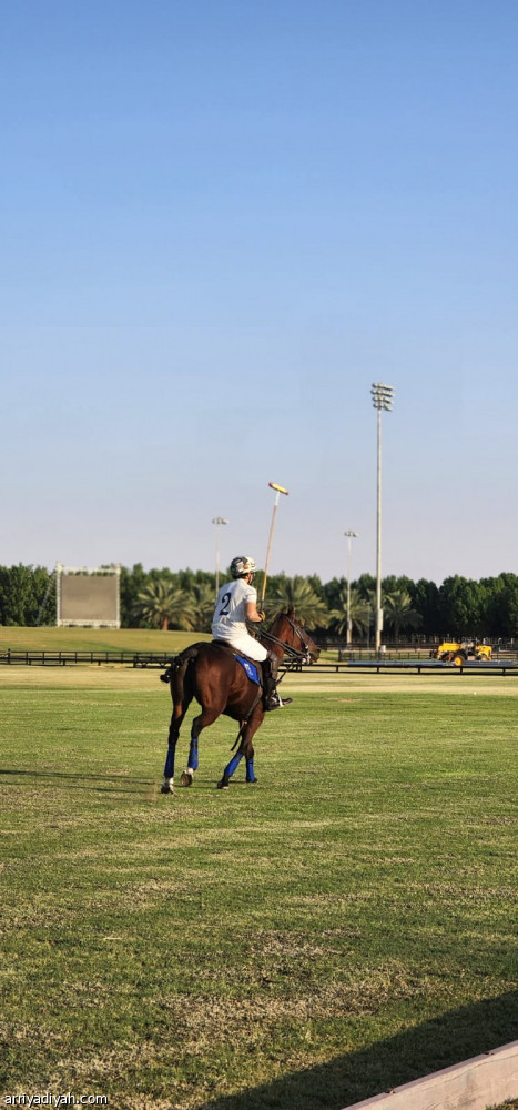 تمام 
يكسب الرياض