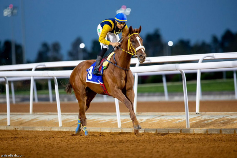 السبت.. نادي سباقات الخيل يطلق كأس اليوم الوطني في الطائف
