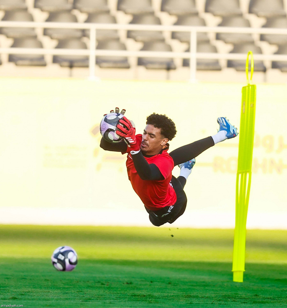 «النمور» تعاود الركض