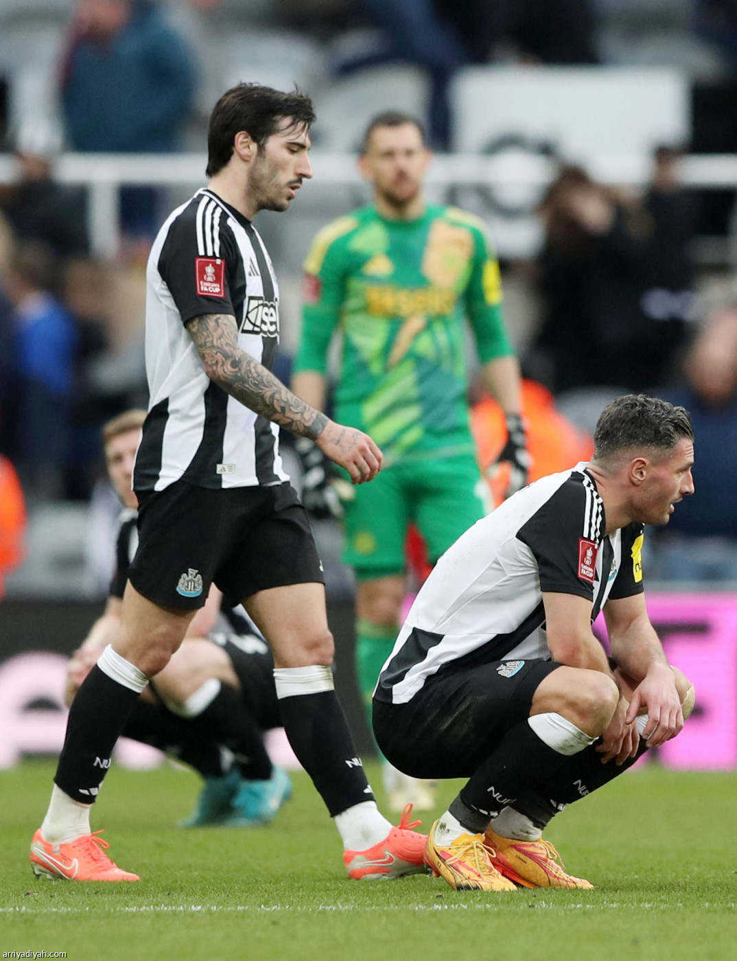 نيوكاسل يودع