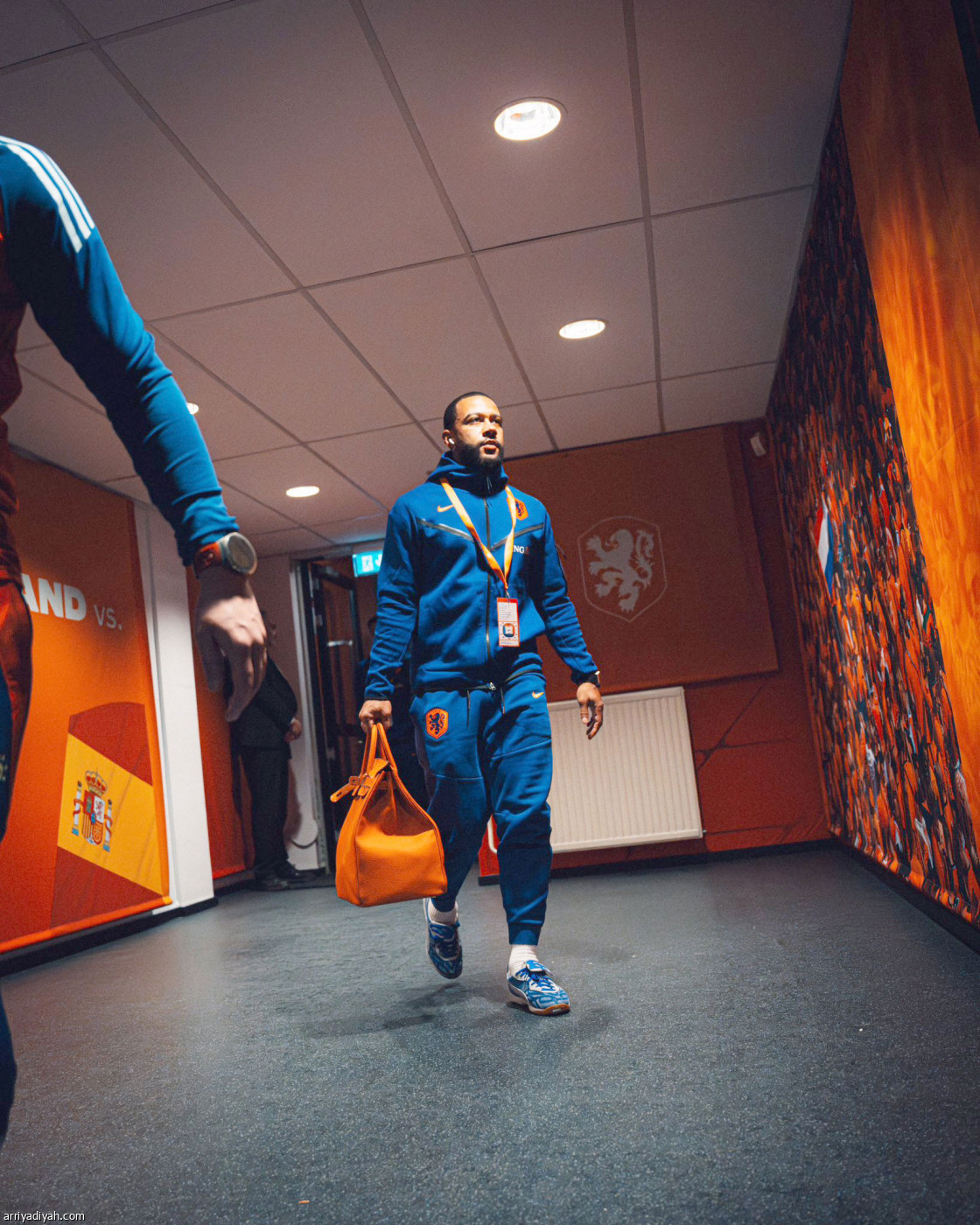 هولندا تتحضر