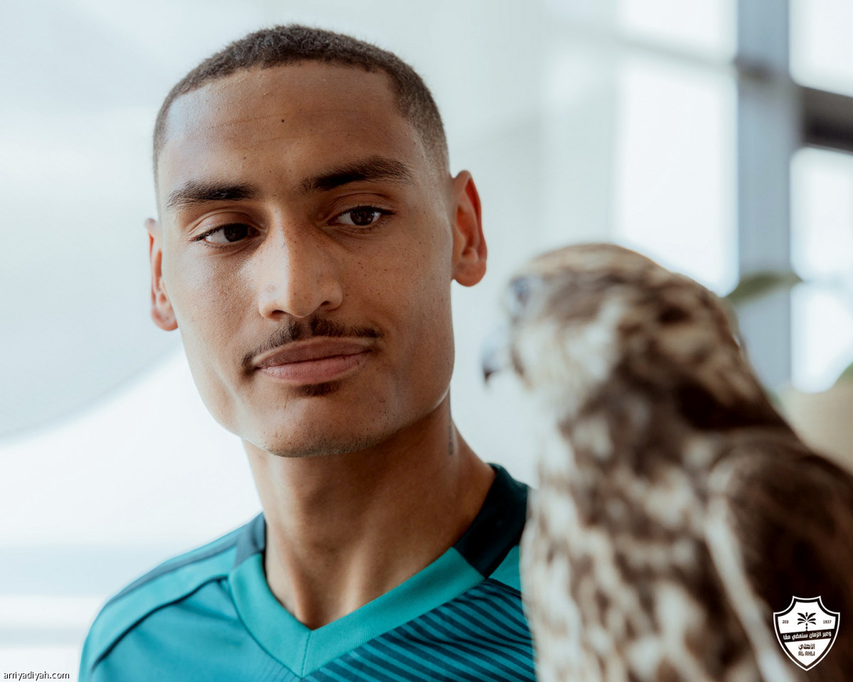 ميلوت في شيبارة