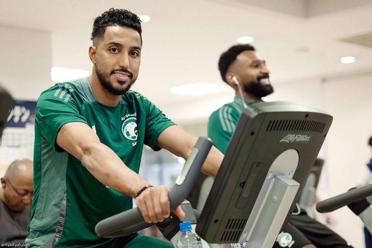 إطلالة الصقور