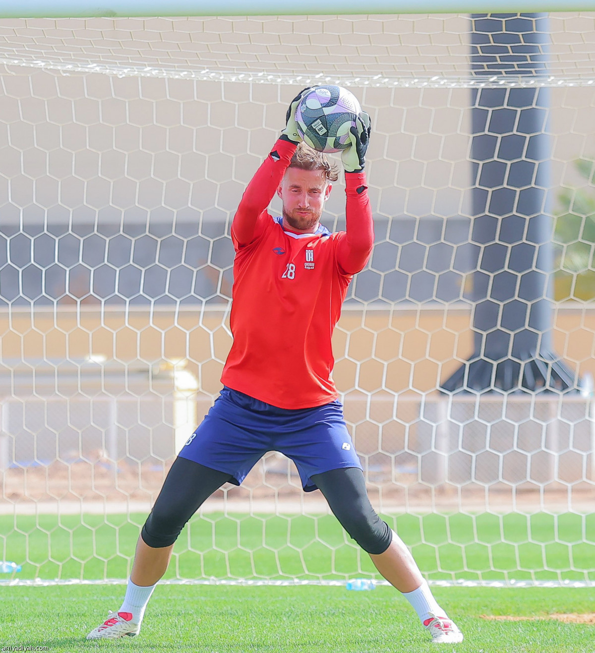 ترفيهي أخير